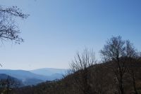 Monte cucuzzo  Aprile 2018 (14)